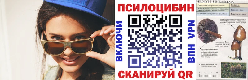 Галлюциногенные грибы мухоморы Нальчик